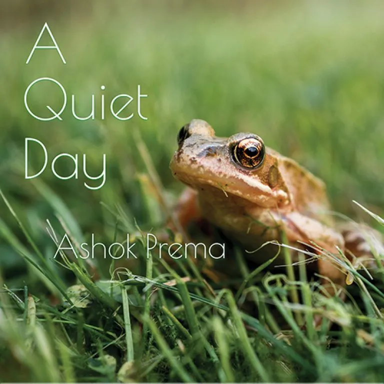Ashok-Prema-A-Quiet-Day